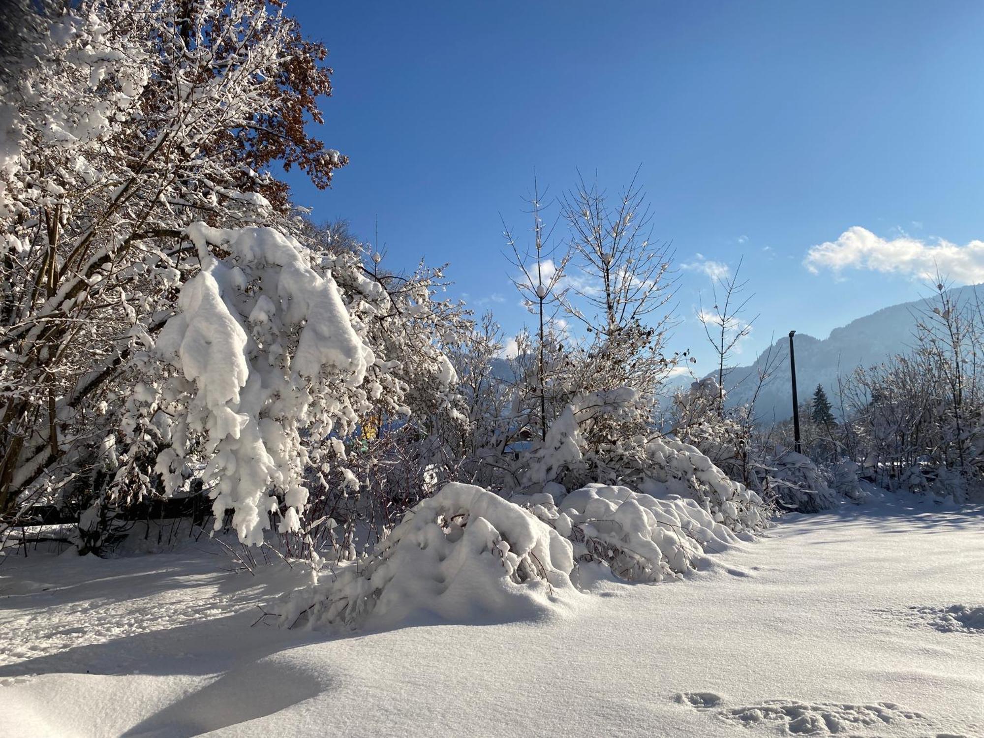 Ferienhaus Endroes - Chiemgau Karte Inzell Exteriér fotografie